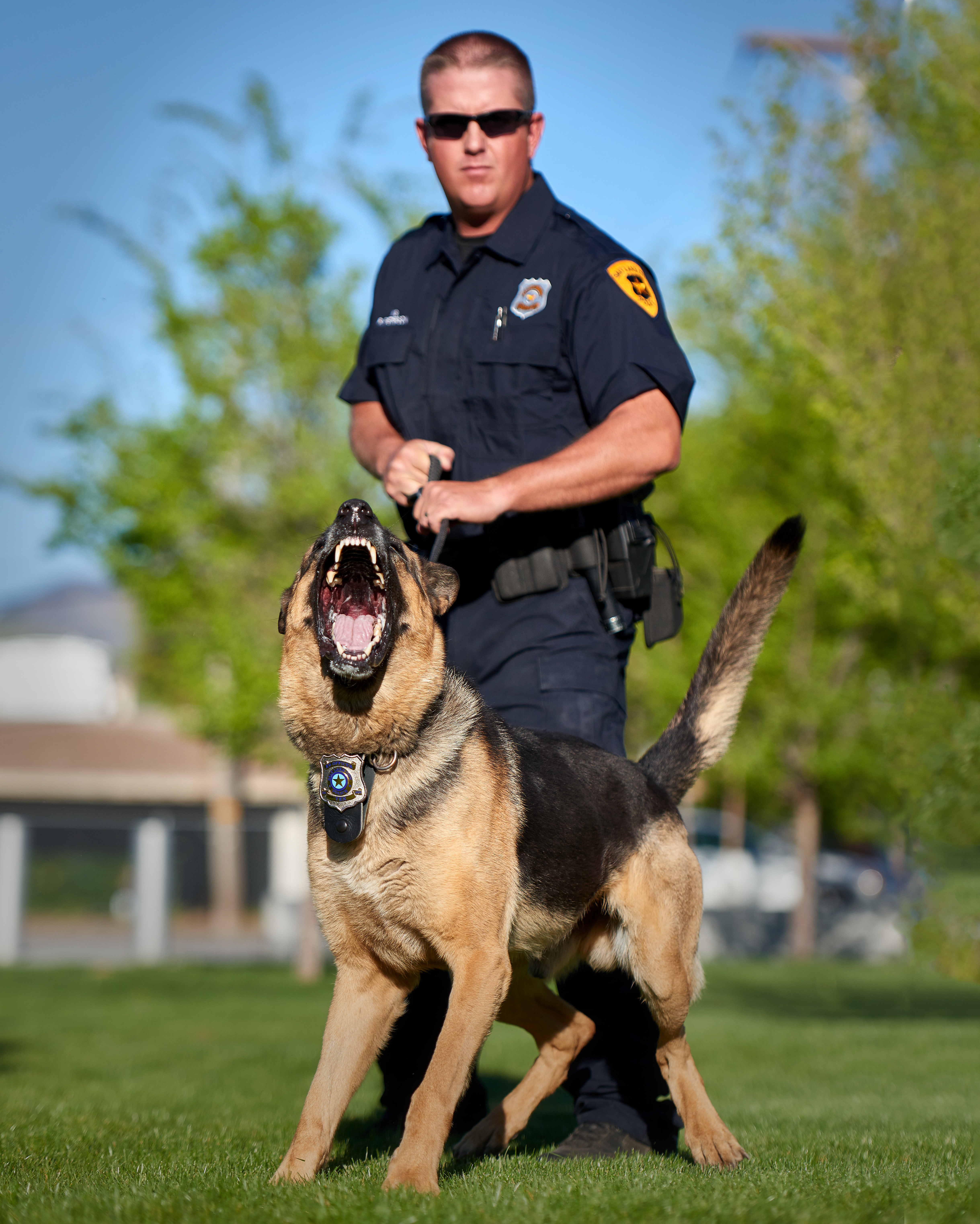 How long does it take to train a k9 dog K9 Frequently Asked Questions Slcpd